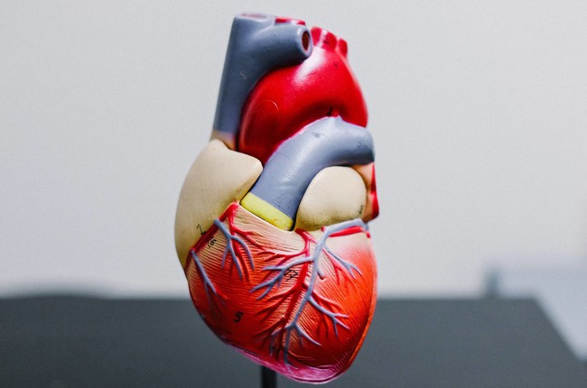 Viêm cơ tim ở trẻ nguy hiểm thế nào? - Ảnh 3.