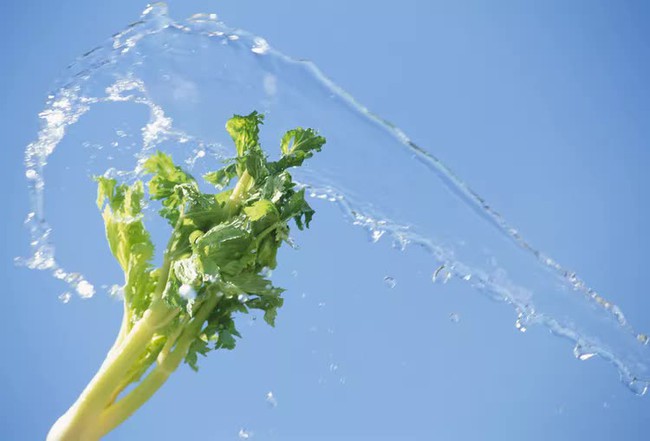 15 thực phẩm giúp cơ thể giữ nước hiệu quả mùa nắng nóng - Ảnh 2.