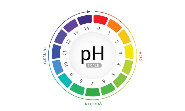 Cách cân bằng độ pH cho cơ thể trong mùa hè - Ảnh 1.
