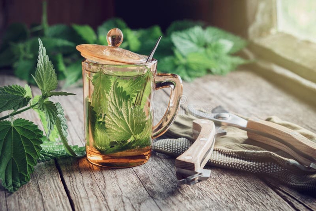 5 loại trà thảo mộc giúp đánh bay viêm mũi dị ứng theo mùa - Ảnh 2.