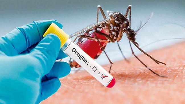 Các triệu chứng của sốt xuất huyết Dengue so với sốt Chikungunya khác nhau như thế nào? - Ảnh 4.