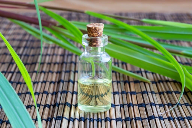 8 loại tinh dầu giúp đuổi muỗi tự nhiên cực đơn giản, dễ làm - Ảnh 7.