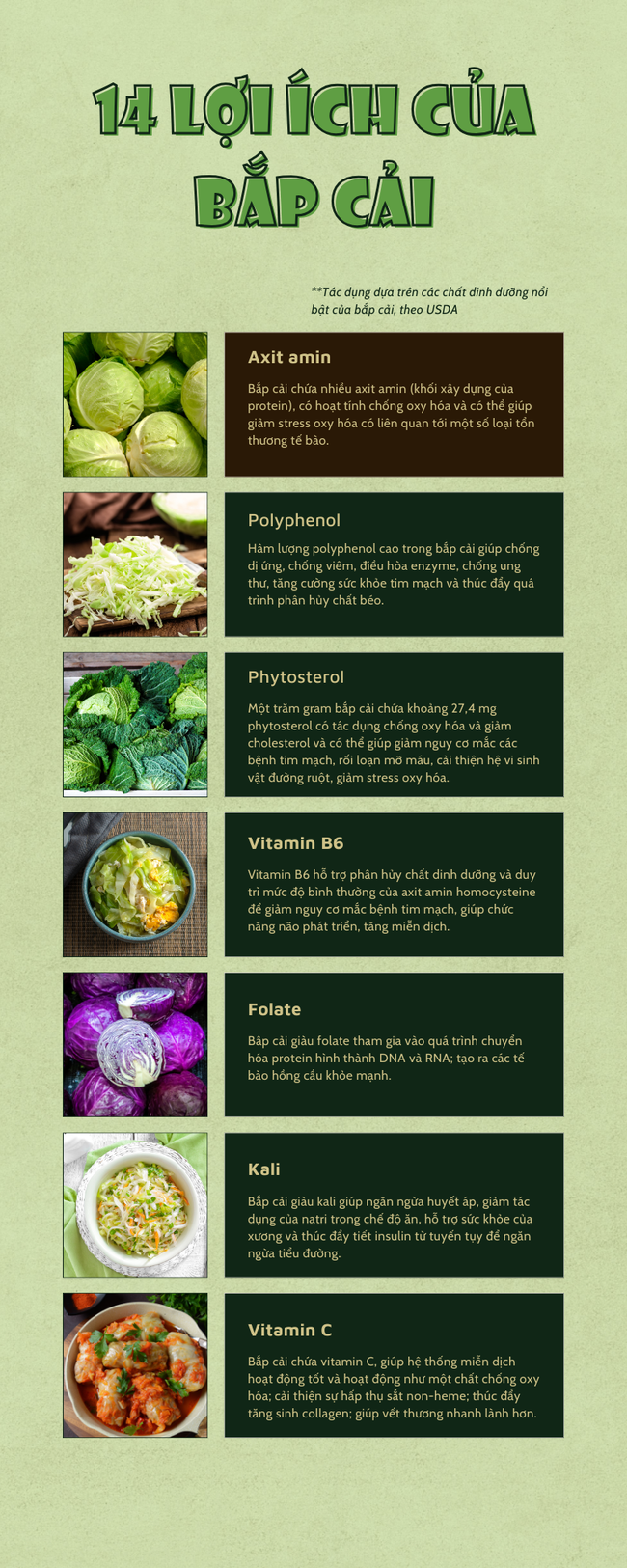 10 tác dụng ấn tượng của bắp cải - loại rau mùa lạnh được ví như thuốc tăng lực cho hệ miễn dịch - Ảnh 9.