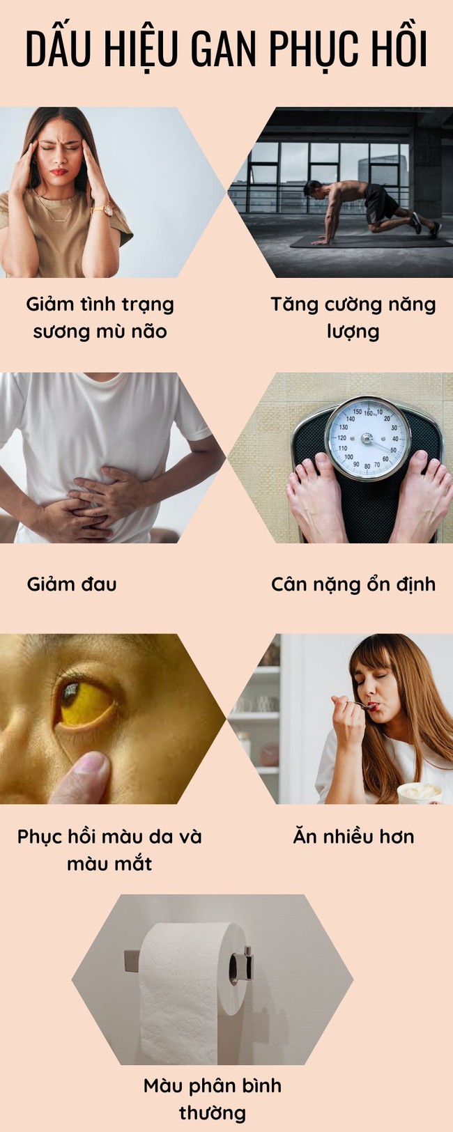 7 dấu hiệu cho thấy gan đang phục hồi - Ảnh 3.