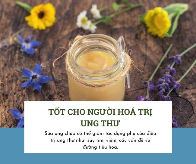 Loại sữa từ ong có vị chua và đắng nhưng lại rất tốt cho người bị ung thư và tiểu đường, giúp giảm cholesterol - Ảnh 4.