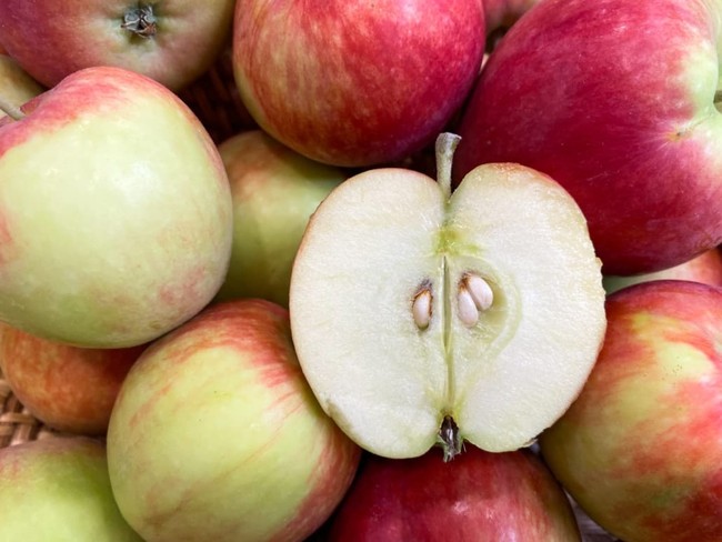 4 loại trái cây không nên ăn hạt vì có chứa chất độc, có loại còn gây hôn mê do hạ đường huyết - Ảnh 2.