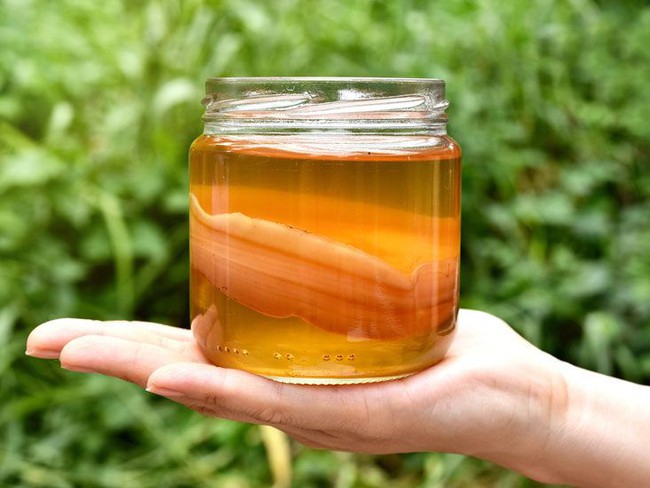 Uống kombucha bao nhiêu là quá nhiều? Dừng ngay khi thấy 5 dấu hiệu &quot;bất ổn&quot; này - Ảnh 3.