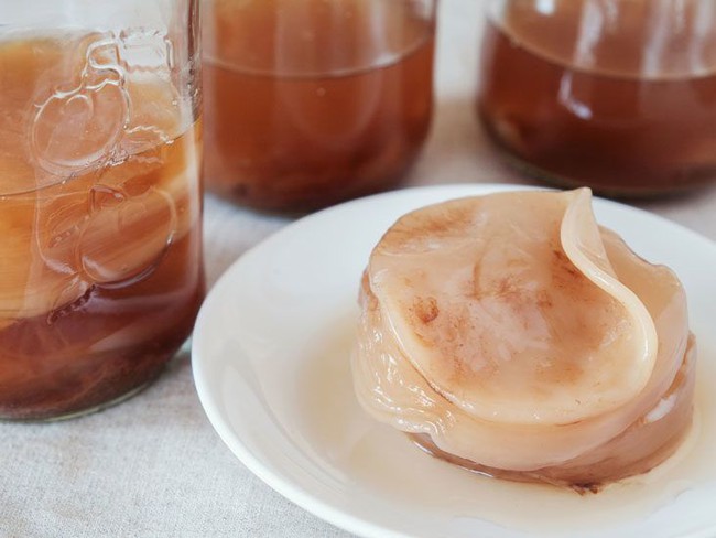 Uống kombucha bao nhiêu là quá nhiều? Dừng ngay khi thấy 5 dấu hiệu &quot;bất ổn&quot; này - Ảnh 6.