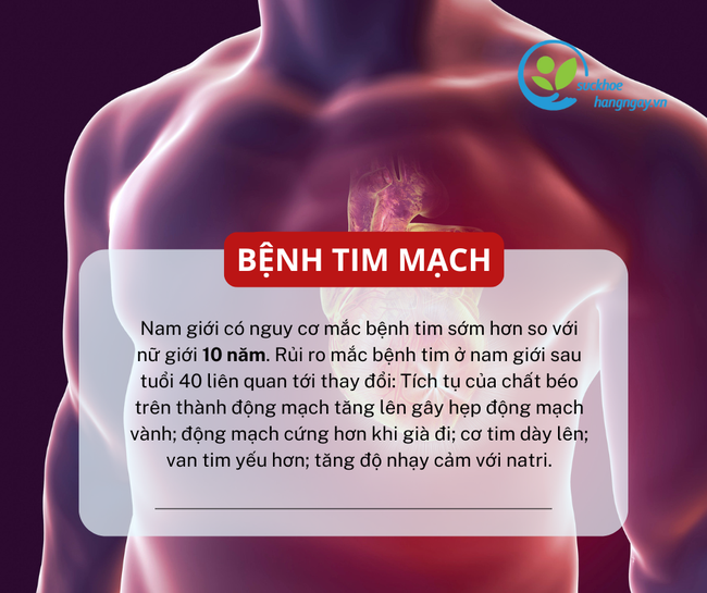 6 nguy cơ sức khỏe thường gặp ở nam giới sau tuổi 40 - Ảnh 2.