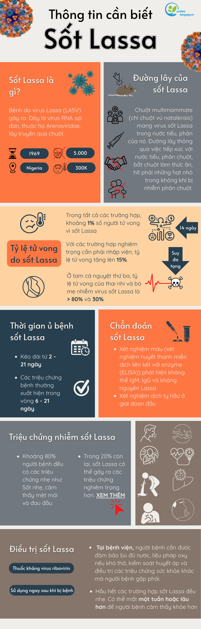 Dịch sốt Lassa khiến hàng trăm người thiệt mạng ở Nigeria nguy hiểm như thế nào? - Ảnh 6.