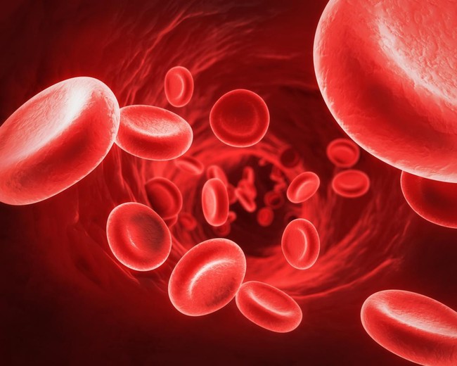 Bệnh máu khó đông có nguy hiểm không và nguyên tắc chăm sóc người bệnh - Ảnh 1.