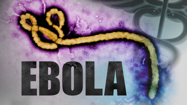 Bệnh Ebola: Ai là những người có nguy cơ mắc căn bệnh này? - Ảnh 2.