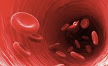 Nhiễm trùng máu có phải là ung thư máu không? Phân biệt nhiễm trùng máu và ung thư máu