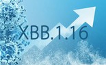 Biến thể XBB.1.16 của Omicron khiến số ca nhiễm COVID-19 tại Thái Lan gia tăng có nguy hiểm không?