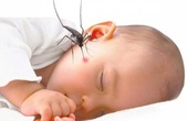 PGS.TS Nguyễn Tiến Dũng: Trẻ em có nguy cơ mắc sốt xuất huyết nặng hơn người lớn