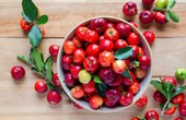 Loại quả được ví như "cherry nội địa", là "vua vitamin C", tốt cho da và phòng ngừa nhiều bệnh tật