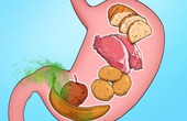 Thời gian tiêu hóa của các loại thực phẩm trong dạ dày