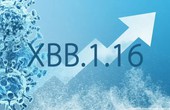 Biến thể XBB.1.16 của Omicron khiến số ca nhiễm COVID-19 tại Thái Lan gia tăng có nguy hiểm không?