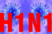 Ít nhất 3 người tử vong, ai là những người dễ mắc bệnh cúm A/H1N1? 