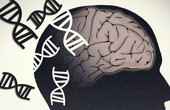 Bệnh Alzheimer có di truyền không?