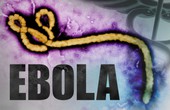 Bệnh Ebola: Ai là những người có nguy cơ mắc căn bệnh này?