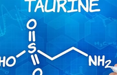 Tác dụng của Taurin đối với sức khỏe con người