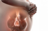 Buồng trứng nhân tạo: Cơ hội mang thai cho bệnh nhân ung thư buồng trứng sau điều trị