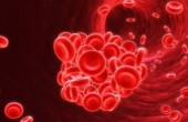 Xét nghiệm sốt xuất huyết giảm tiểu cầu cần thực hiện khi nào?