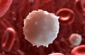 Ung thư máu: Dấu hiệu, nguyên nhân, cách điều trị và phòng tránh