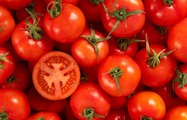 Ăn cà chua sống có tác dụng gì? Ăn cà chua sống thế nào là đúng cách?
