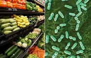 Thời tiết nắng nóng, chú ý 5 loại thực phẩm dễ nhiễm vi khuẩn Listeria có thể gây ngộ độc 
