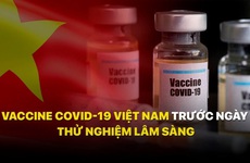 Vaccine COVID-19 Việt Nam sẽ được thử nghiệm trên người từ ngày 10/12: Yêu cầu chặt chẽ, thử nghiệm theo nhóm nhỏ!