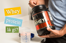 Whey protein là gì? Những điều cần biết về whey protein