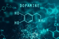 Dopamine là gì? Tìm hiểu về hormone hạnh phúc