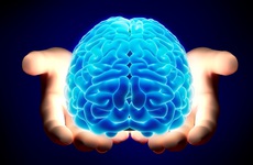 Omega-3 phòng tránh suy giảm trí nhớ do thức ăn chế biến sẵn
