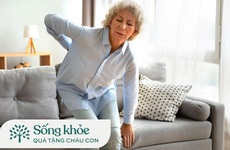 Tại sao xương người già giòn và dễ gãy? Biện pháp cải thiện mật độ xương hiệu quả cho người cao tuổi