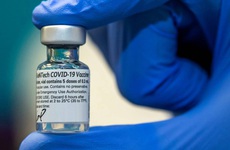 Đối tượng nào nên và không nên tiêm chủng vaccine ngừa Covid-19?