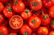 Ăn cà chua sống có tác dụng gì? Ăn cà chua sống thế nào là đúng cách?
