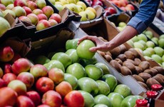 Điều gì giúp táo là lựa chọn số 1 để nâng cao hệ miễn dịch và sức khỏe đường ruột?