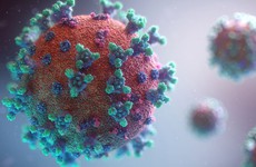 Bệnh cúm A H5N1 là gì? Những điều cần biết về bệnh cúm A H5N1