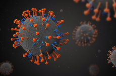 Trung Quốc phát hiện virus mới “LayV” có khả năng gây chết người