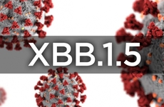 Triệu chứng COVID-19 thường gặp khi mắc biến thể XBB.1.5, phòng ngừa và điều trị thế nào?