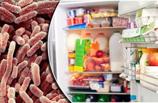 4 loại vi khuẩn nguy hiểm ưa thích môi trường tủ lạnh, nhận biết để phòng ngừa ngộ độc