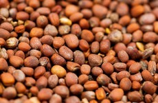 Thứ hạt từ loại rau được ví là "nhân sâm", giúp giải độc gan, hạ huyết áp và phòng ngừa ung thư
