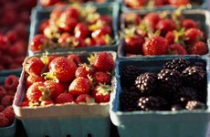 4 loại trái cây mùa hè ăn cả hạt rất tốt cho sức khỏe nhưng nhiều người lại bỏ đi, rất lãng phí