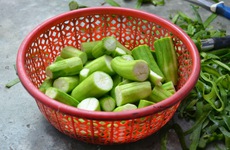 Nắng nóng nấu canh ăn đừng bỏ qua loại quả  ví như "nhân sâm của người nghèo", vừa ngon miệng lại đại bổ