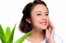 Công thức dưỡng trắng da từ nha đam