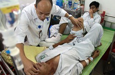 Giật mình với dự báo tỉ lệ mắc sốt xuất huyết của Việt Nam 2018