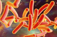 Từ A - Z về viêm phổi do vi khuẩn Legionnaires gây ra