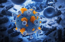 Chủng virus trở thành công cụ điều trị ung thư não hiệu quả